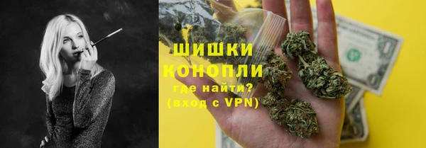 шишки Белоозёрский