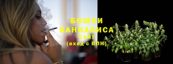 шишки Белоозёрский