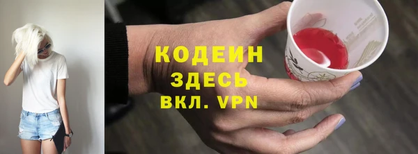 шишки Белоозёрский