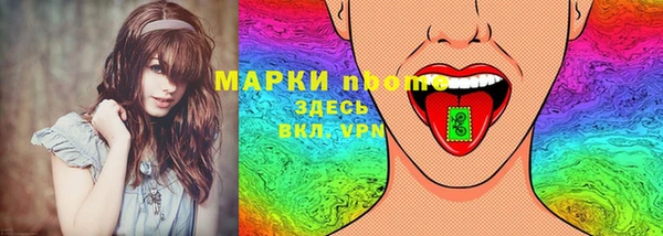 шишки Белоозёрский