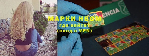 шишки Белоозёрский