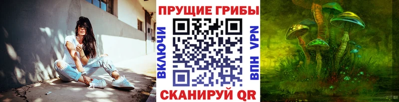 Галлюциногенные грибы Cubensis  Называевск 